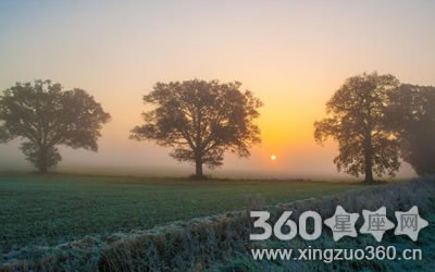 �����������Ż���������Ф��