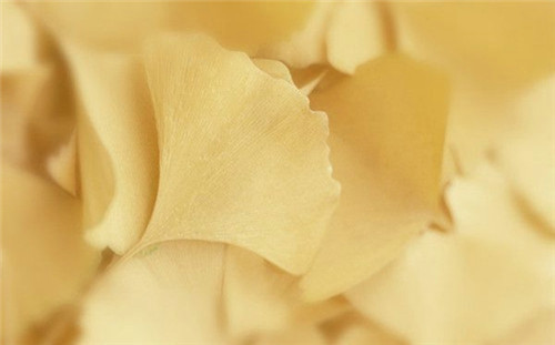 ���Ϸ�����΢��˵˵