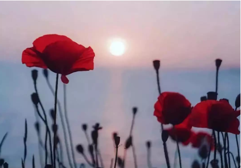 ������ã���۵ļ��˵˵