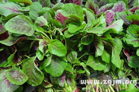 �μ��Ȳ� ����