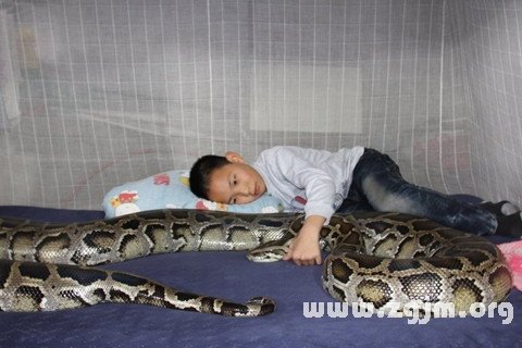 Ãμû±»òþÉßÒ§