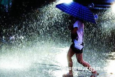 Ãμû±»´óÓêÁÜ