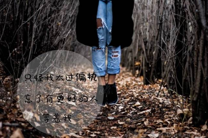 ��������ʵ����ʵ�����ε�ͼƬ˵˵