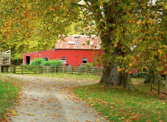 有关于秋天的好词好句