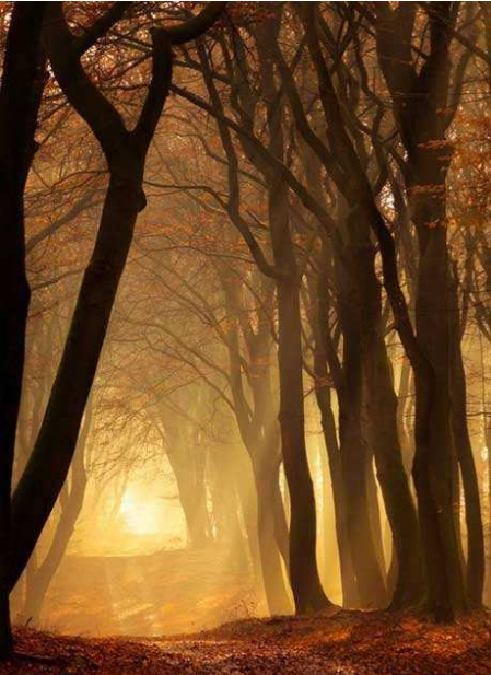 ������̫�����κ������˵˵