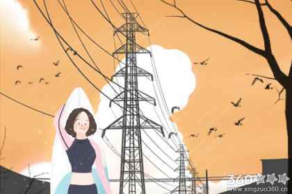 2019�꼸�µ���������� �����˵����Ʒ���