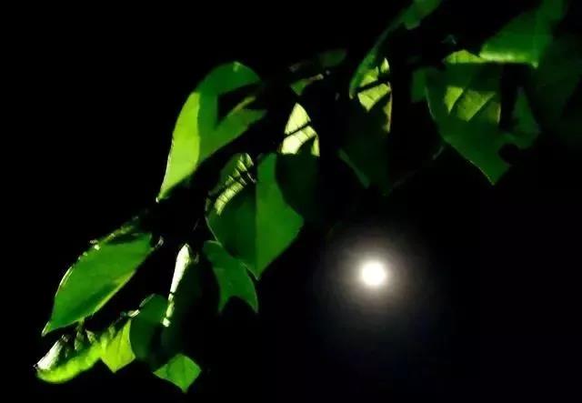 �ʺ�����Ȧ����˵˵