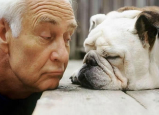 �й����������˵˵