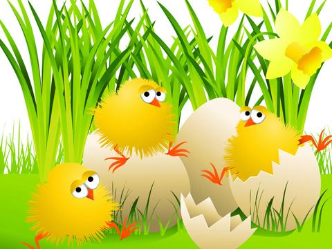 ����͵������Ԣ�Թ���