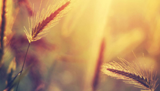 ΢������ȦͼƬ˵˵