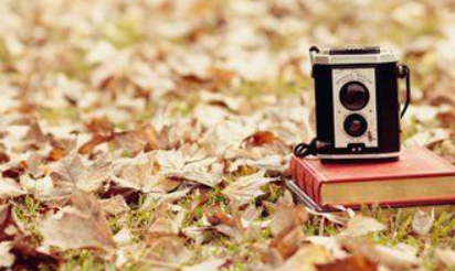 为什么女生都喜欢吃醋的说说