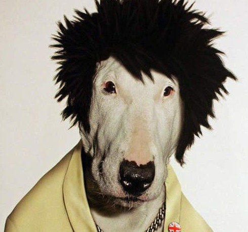 ��Ц�ĸ���ǩ��