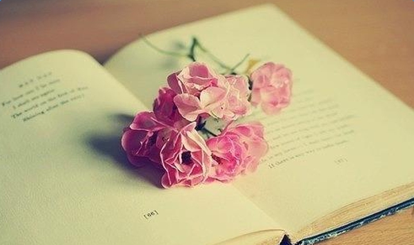 �������鲻�õĸ���ǩ��