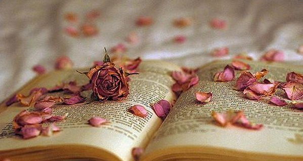 女生伤感个性签名大全