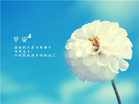 ���Լ�һ�仰���簲˵˵