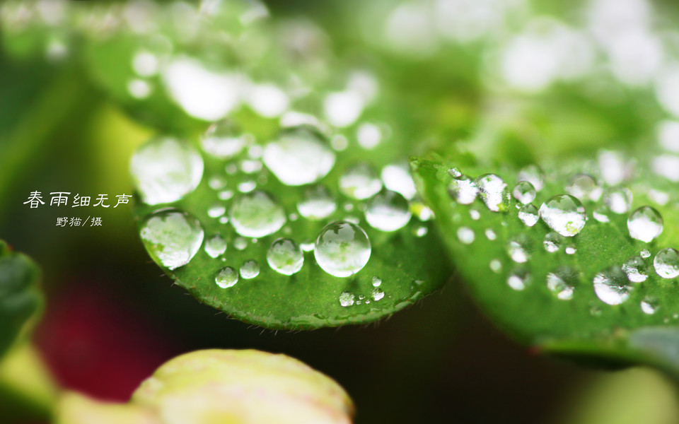 ���ڱչ�ȴɨ�ĳ������