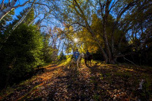 ������дɽ������õ�˵˵