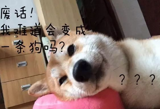 �����Ű����˵˵