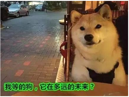 ����ڵ�������˵˵