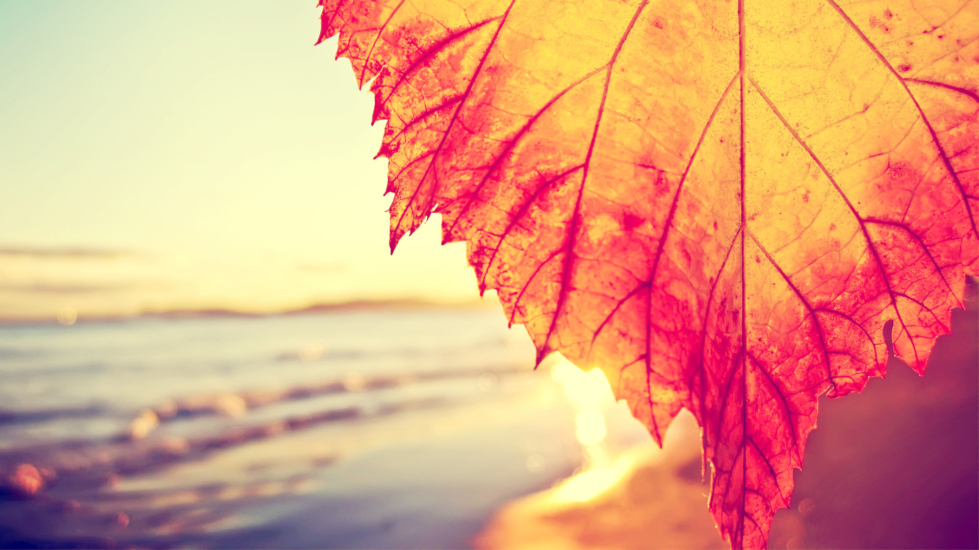 ����ΰ��Ľ����뷴���