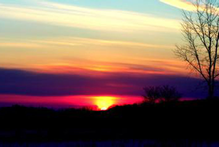 ���׵İ����˹���