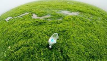 Сѧ���������Ľ���������