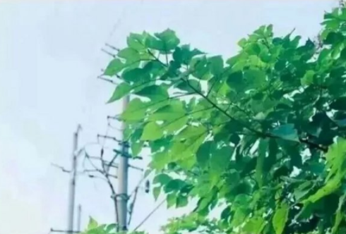 ���ֺ��᲻���뿪��΢��˵˵����Щ