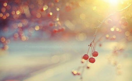 ���õļ����ȫ