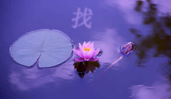 �Ҵ����ѩ����˯ǰ����