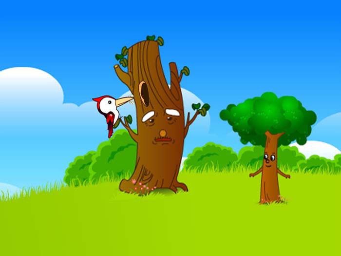 ��ľ��������˯ǰ����