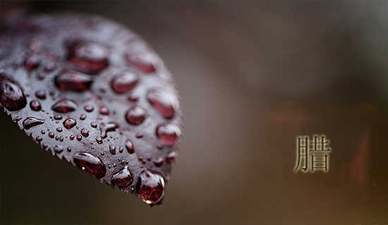 ������ʫ��