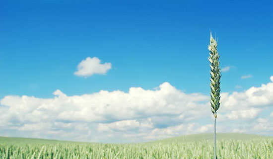 ��ɽ��ʫ��