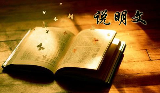 �𻪻���Сѧ˵��������