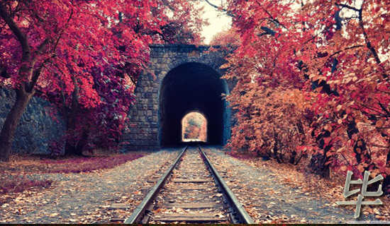 毕业典礼朗诵稿范文