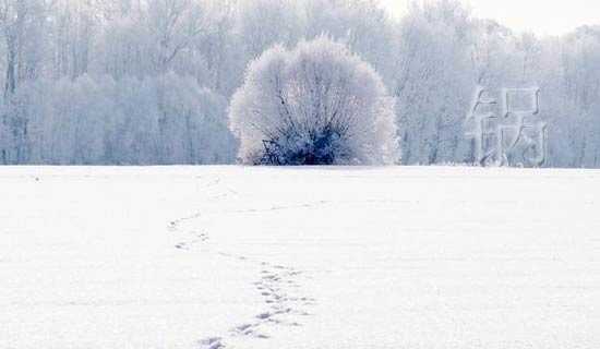 ������㺾���ɢ��