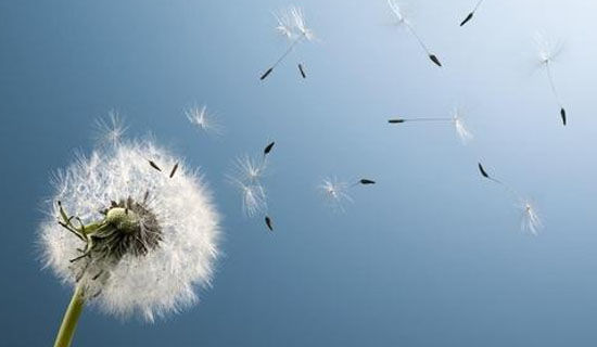 ëë����ѹ�Ӣ��˯ǰ����