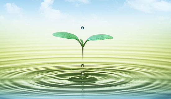 ���������������Ҽ�԰�������Ὺ����