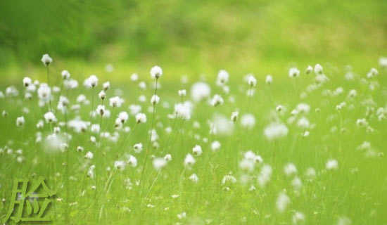 �����С���˯ǰ����