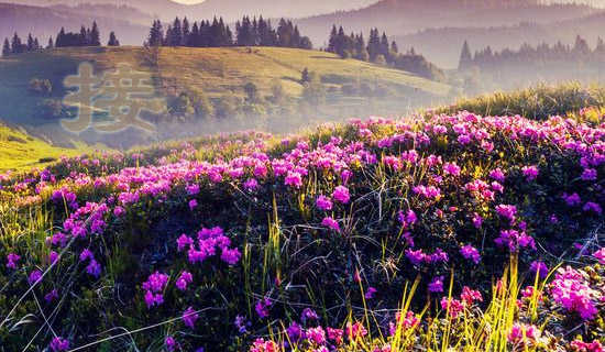 接连的词语解释