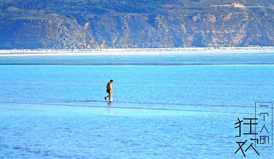 �����ľ���ɢ��