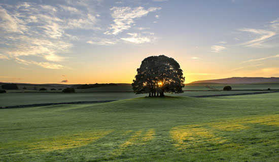 ��Ϊ��,���԰�ʫ��