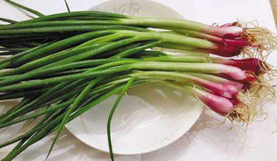 ���ͱ�����ɢ��