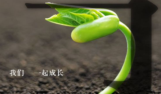 ������һ�ְ�����600��