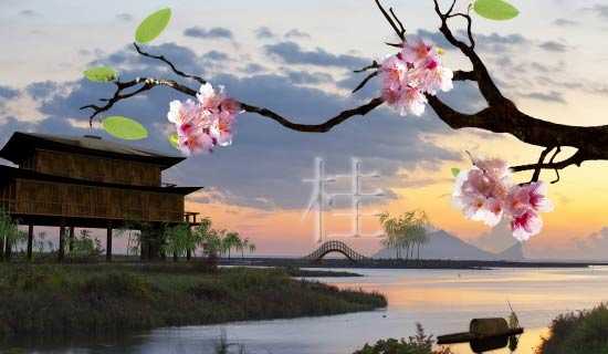 桂花飘香牵挂依旧的诗歌