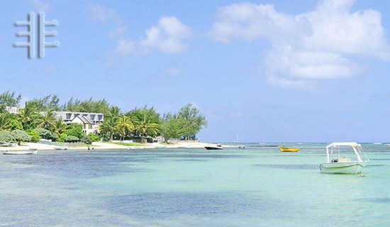 �ǳ����ŵ�У԰СƷ�籾