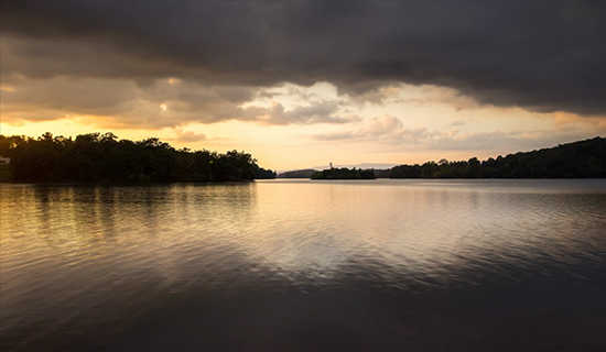 ����Ƶ����