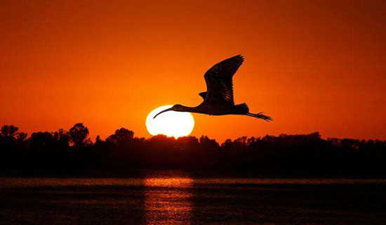 �¶���į��˵˵��ѡ