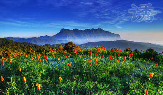 ���˵�ƻ����˯ǰ����