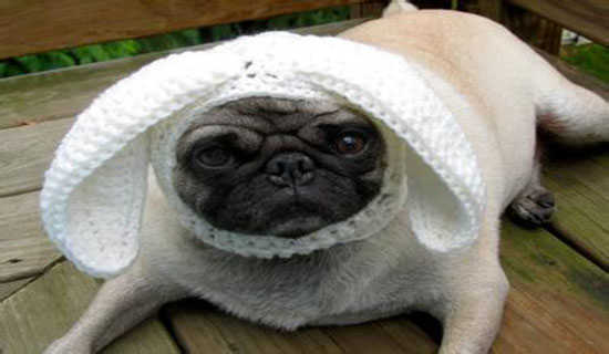 ��������˯ǰ����