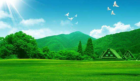 �����Ѻ���֦��˯ǰ����